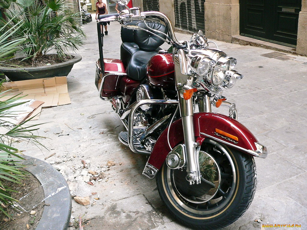, harley, davidson